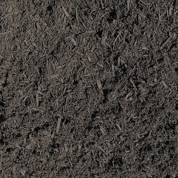 mulch can help prevent soil erosion by protecting the soil from the impact of rain and wind